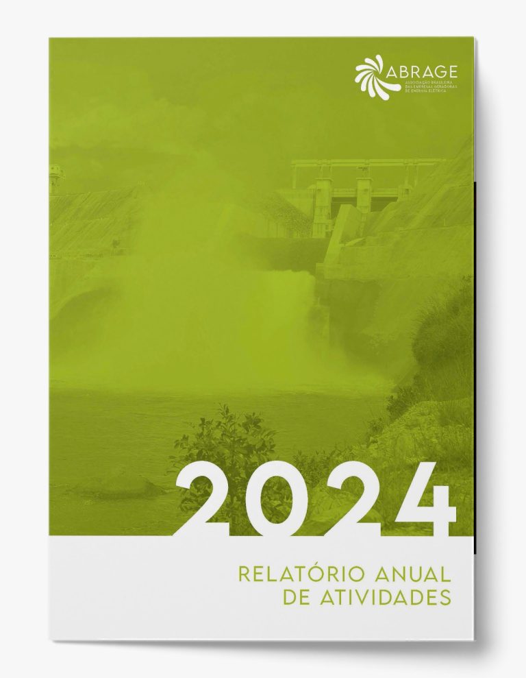 relatorio anual 2024