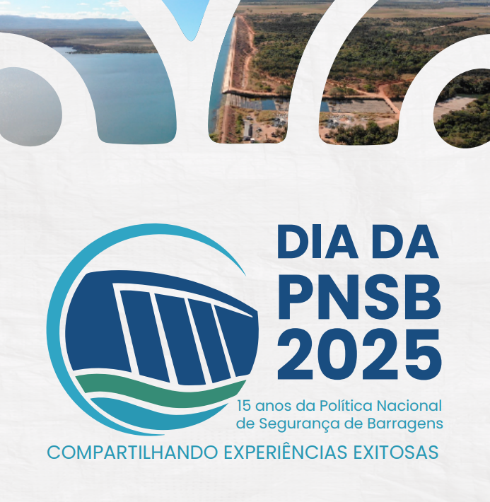 ANA Lança Publicação